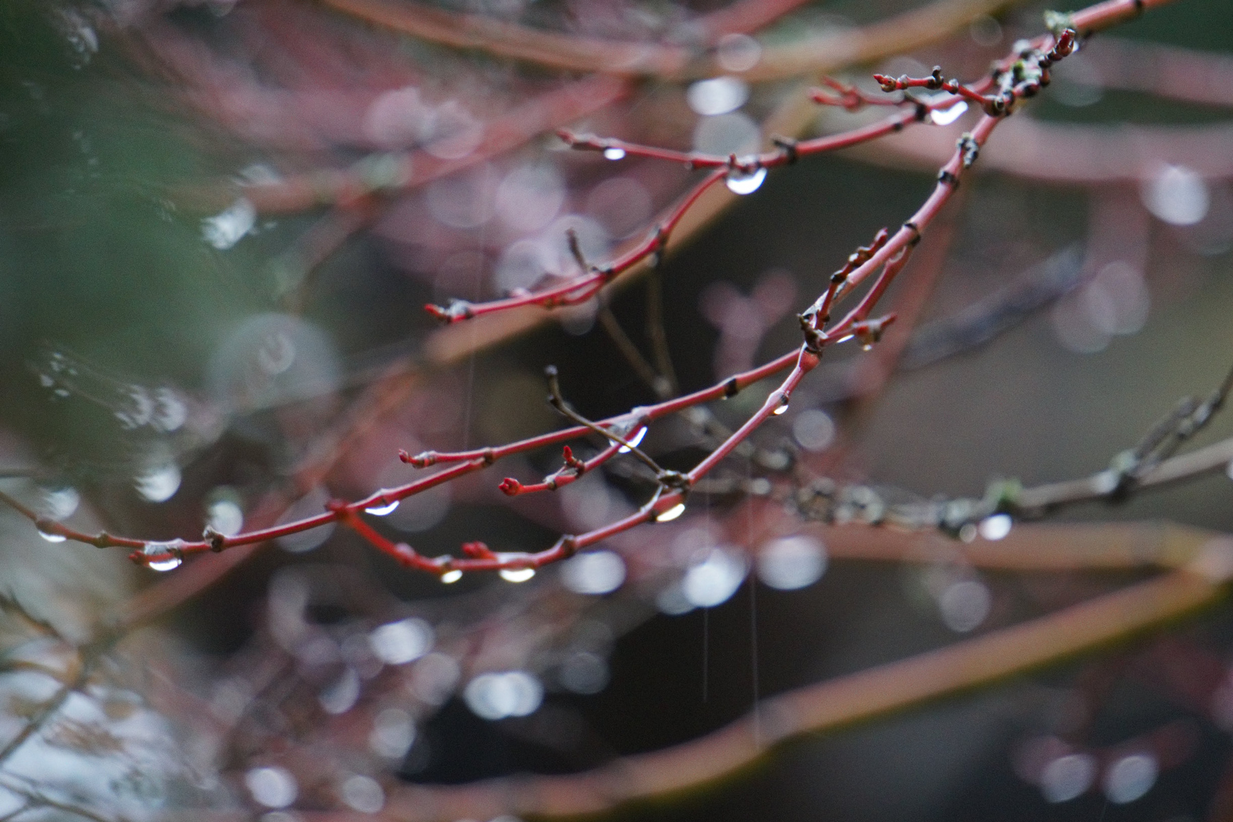 Frozen drops